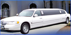 All Occasions Limo, Inc